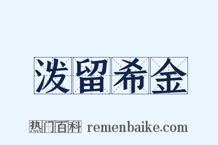 泼留希金是什么意思的图片